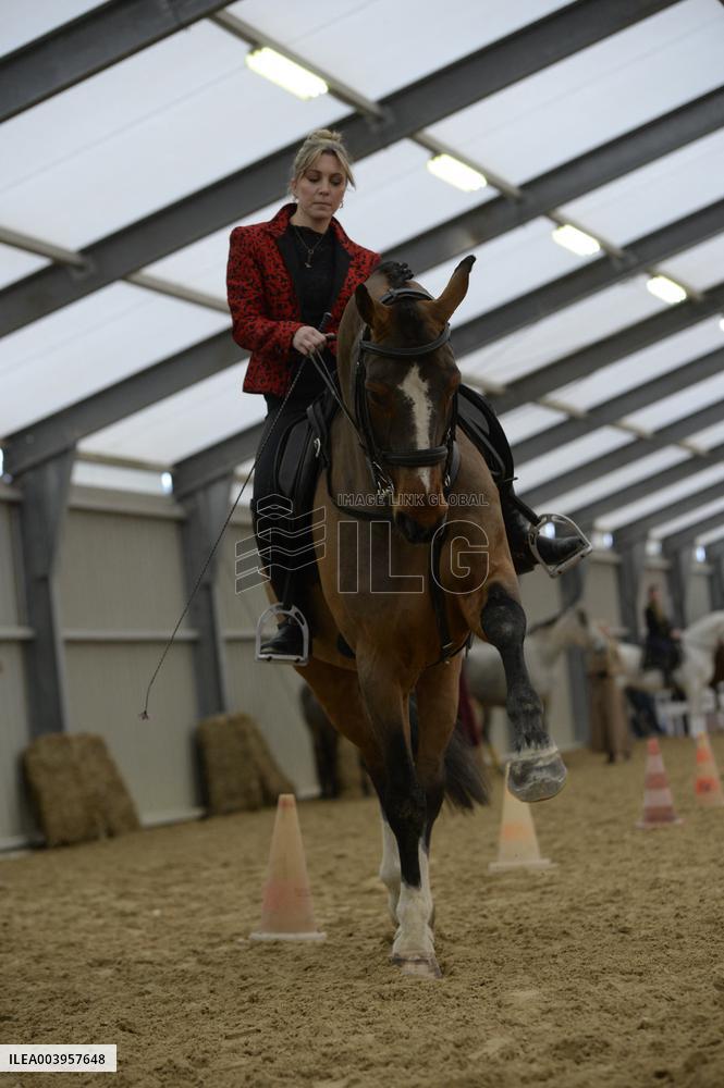 Cheval Passion 2025 - Avignon