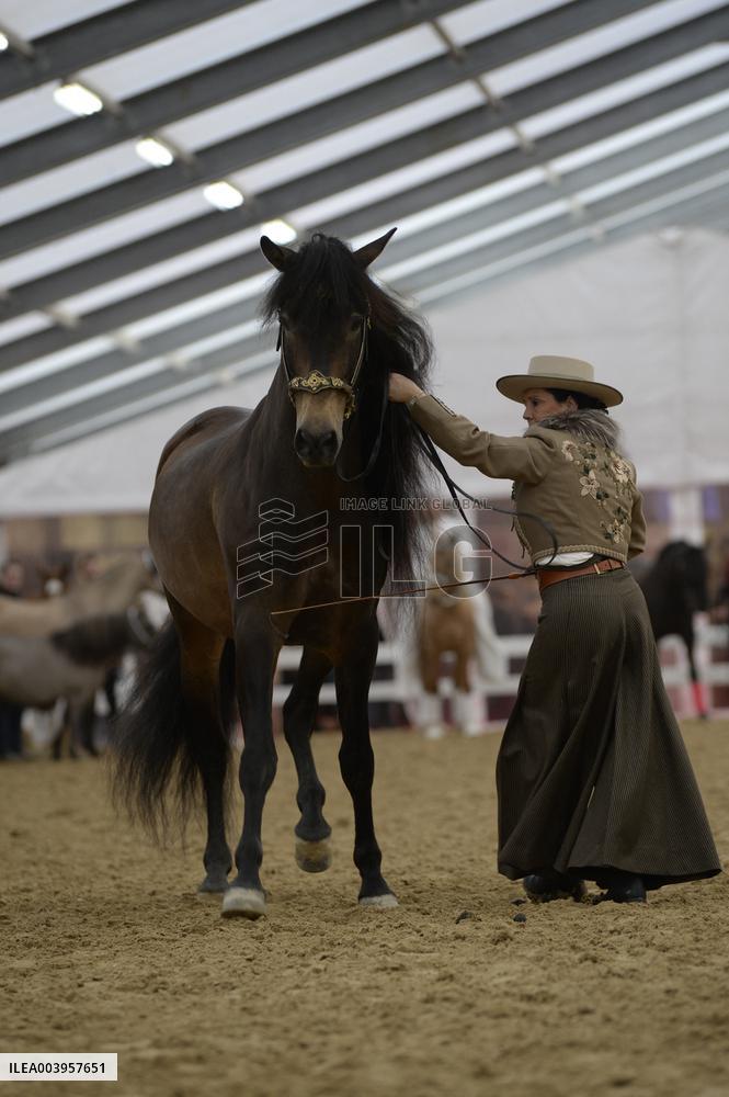 Cheval Passion 2025 - Avignon