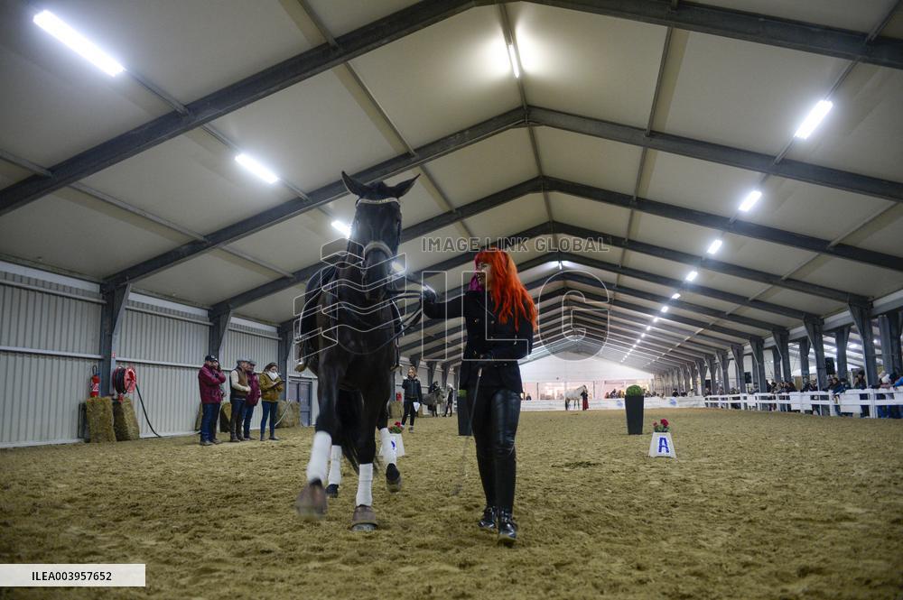 Cheval Passion 2025 - Avignon