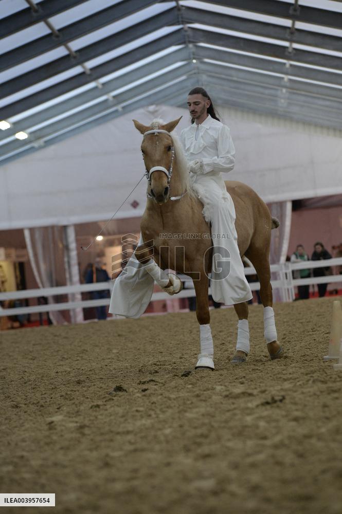 Cheval Passion 2025 - Avignon