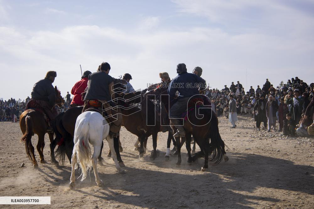 Traditional sport of Buzkashi