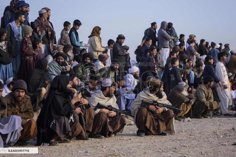 Traditional sport of Buzkashi