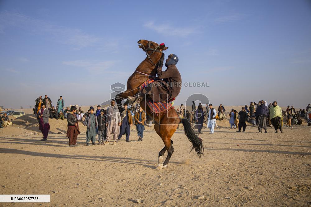 Traditional sport of Buzkashi