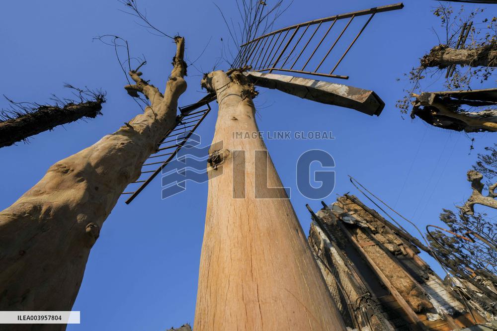California Wildfire January 17