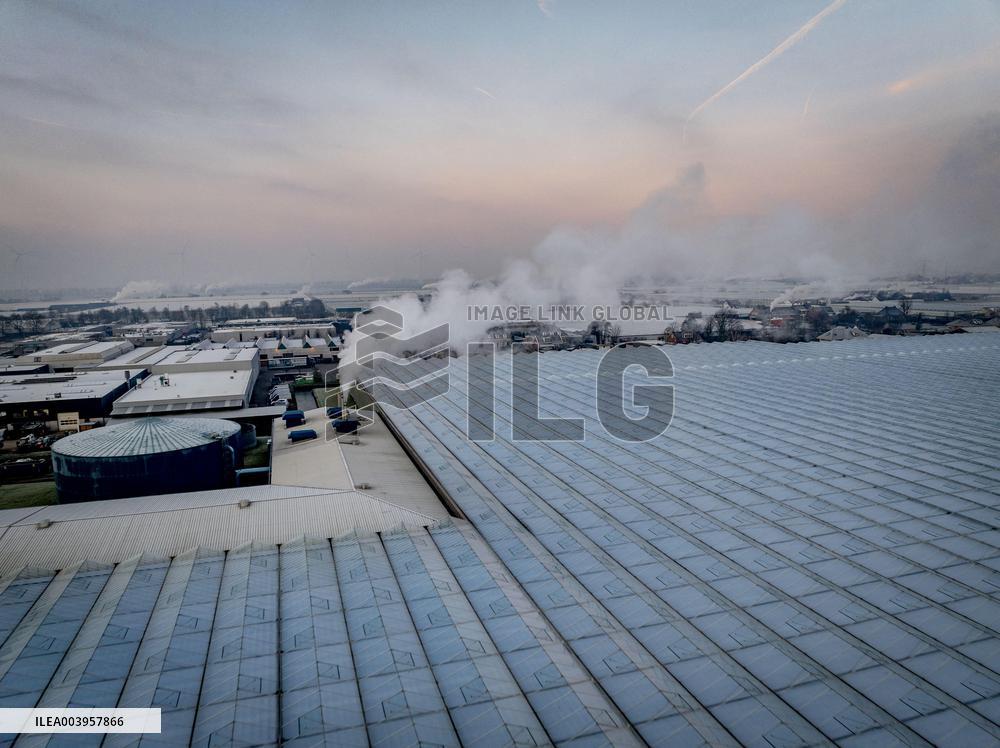 Greenhouses Westland Energy - Netherlands