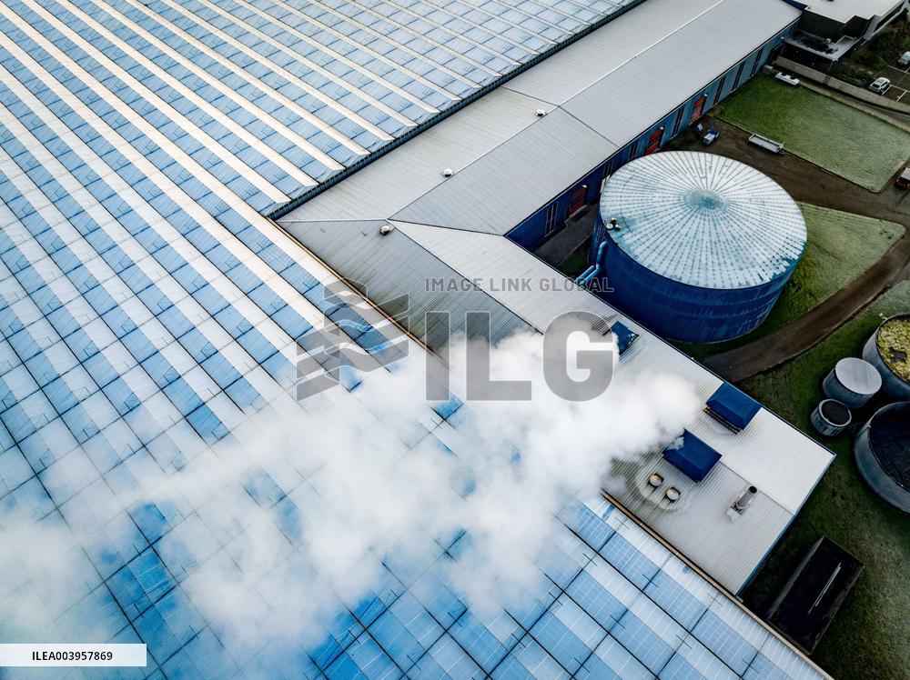 Greenhouses Westland Energy - Netherlands