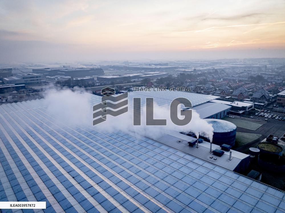 Greenhouses Westland Energy - Netherlands