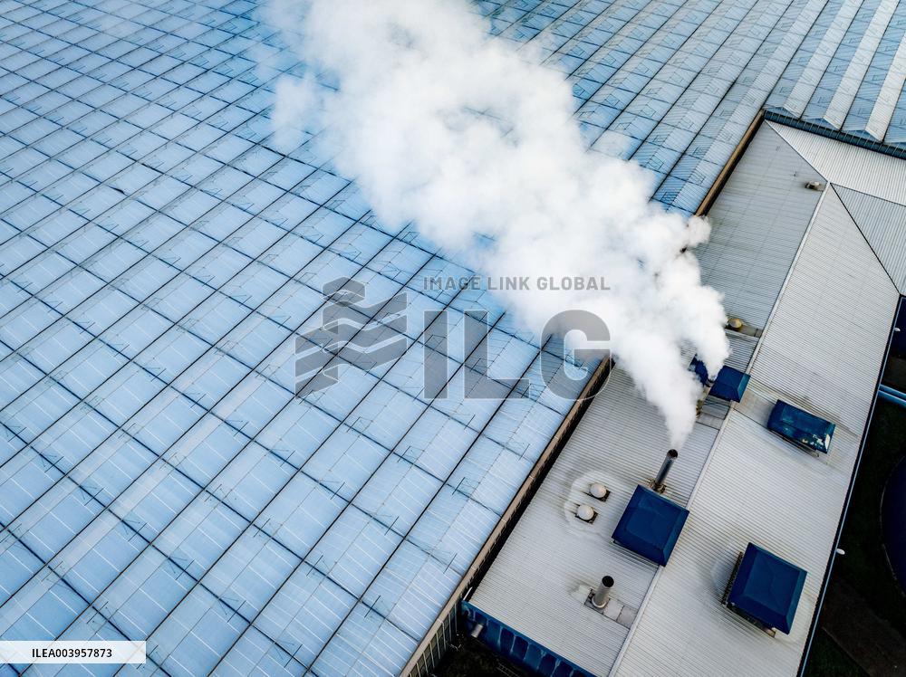 Greenhouses Westland Energy - Netherlands