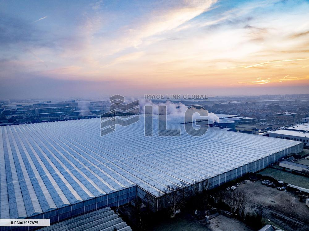 Greenhouses Westland Energy - Netherlands