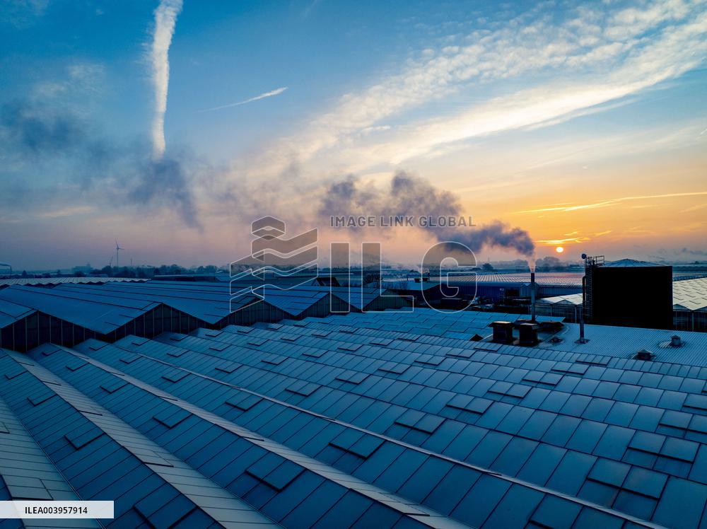 Greenhouses Westland Energy - Netherlands