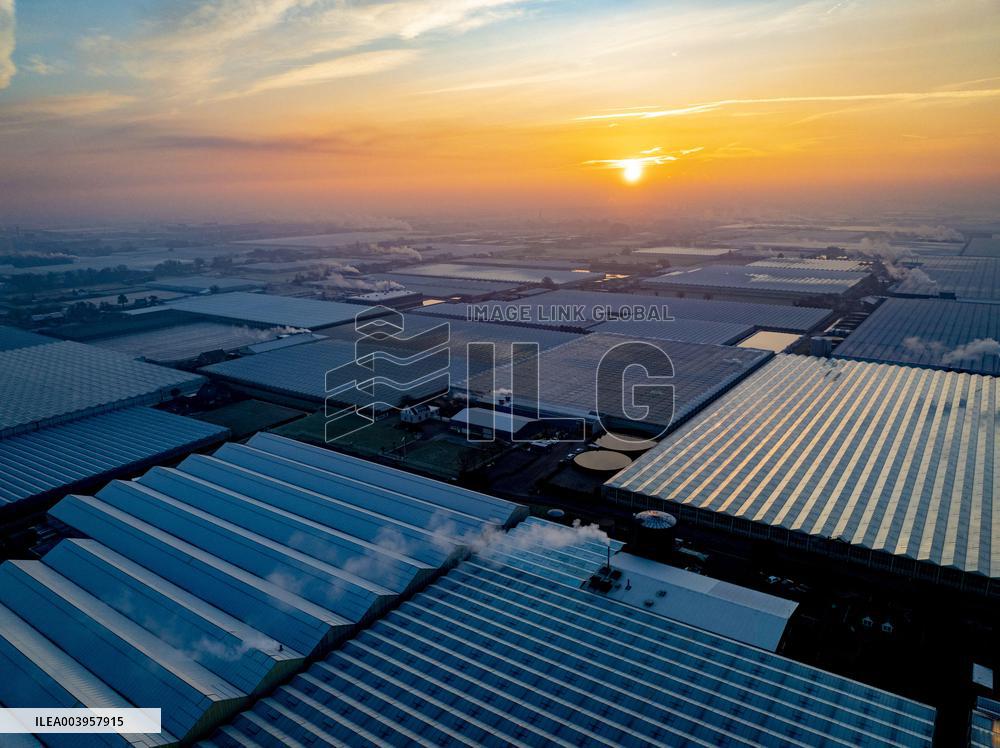 Greenhouses Westland Energy - Netherlands
