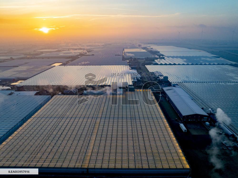 Greenhouses Westland Energy - Netherlands