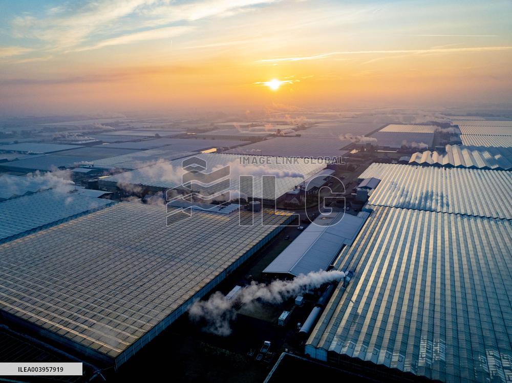 Greenhouses Westland Energy - Netherlands