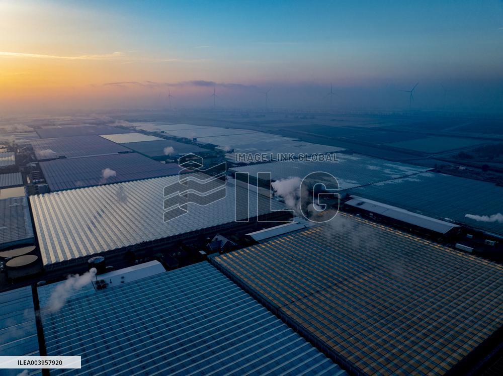 Greenhouses Westland Energy - Netherlands
