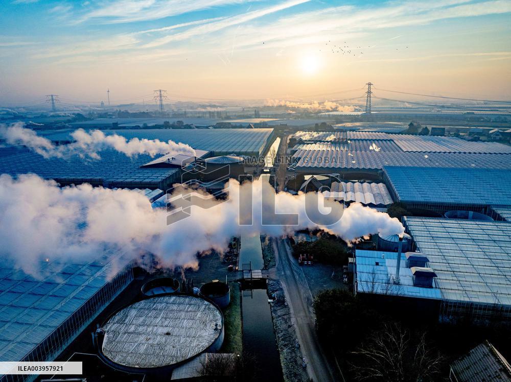 Greenhouses Westland Energy - Netherlands