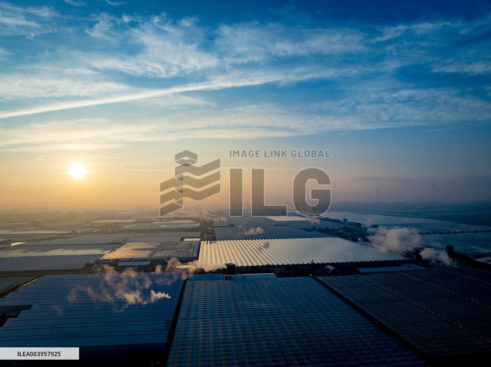 Greenhouses Westland Energy - Netherlands