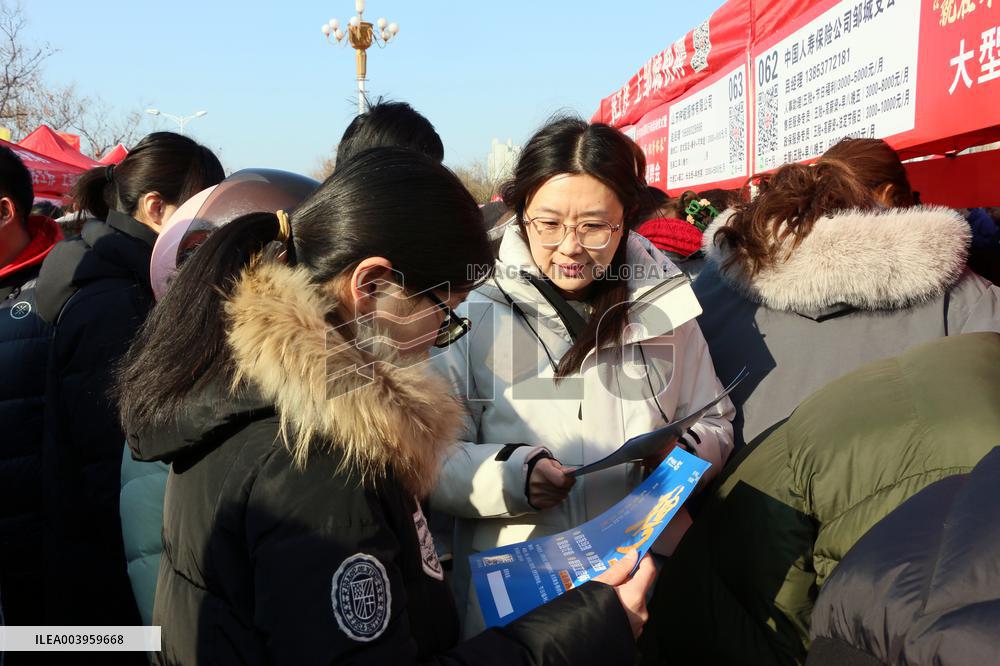 2025 Job Fair in Jining