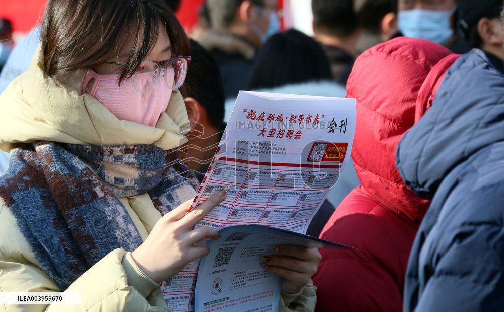 2025 Job Fair in Jining
