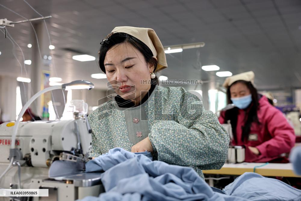 Garment Fabric Export