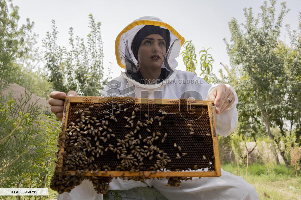 Afghan Women Honey Farming