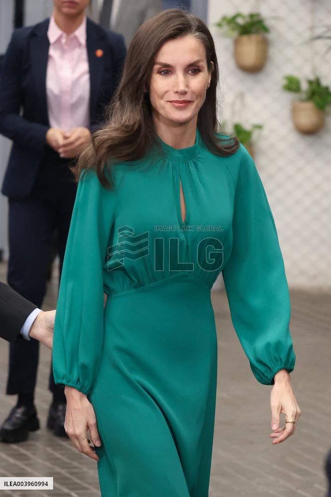 Queen Letizia Attends International Day Against Cancer - Madrid