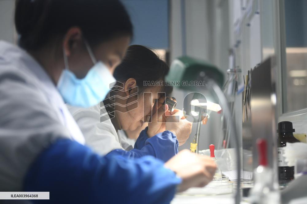 Medical Endoscope Lenses Production in Hangzhou