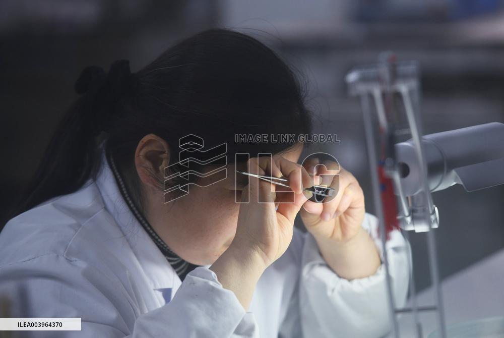 Medical Endoscope Lenses Production in Hangzhou