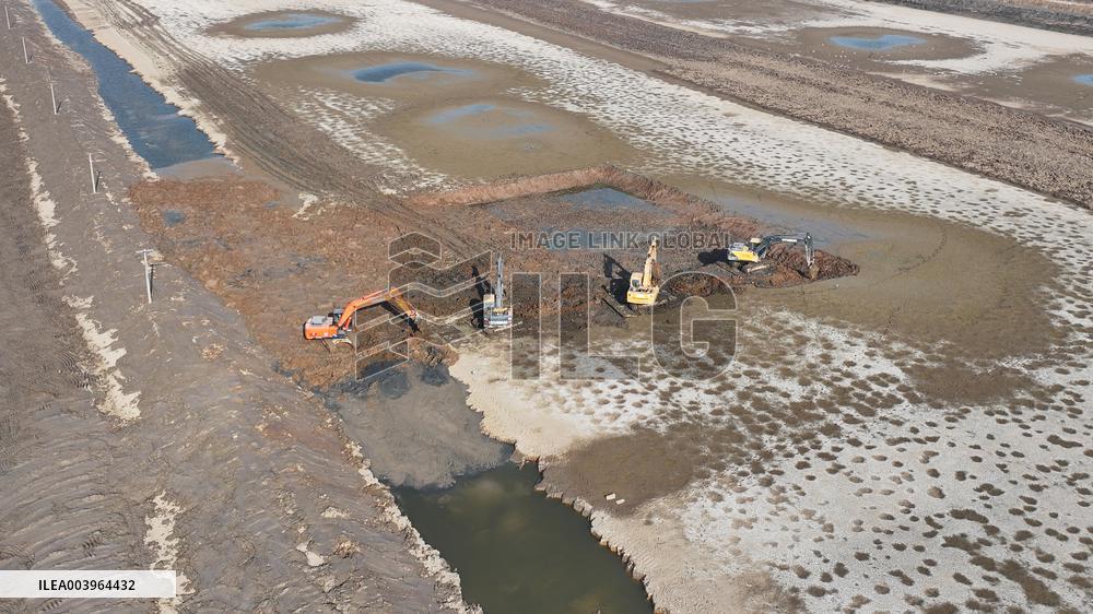 Farm Comprehensive Saline-alkali Land Transformation Construction