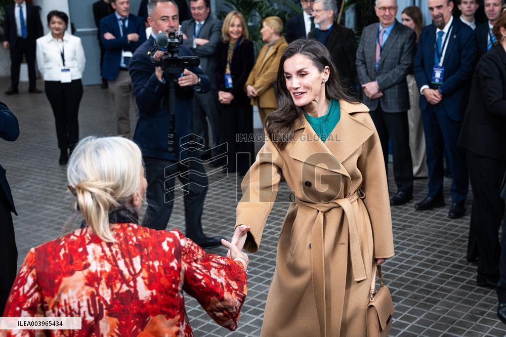 Queen Letizia  Presided Over World Cancer Day - Madrid