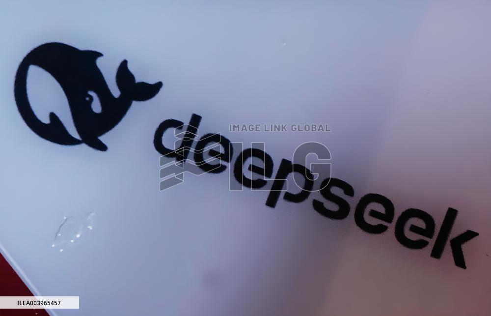 DeepSeek Model