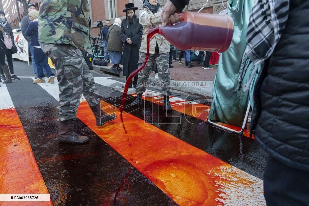 Pro-Palestinian Protest - Washington