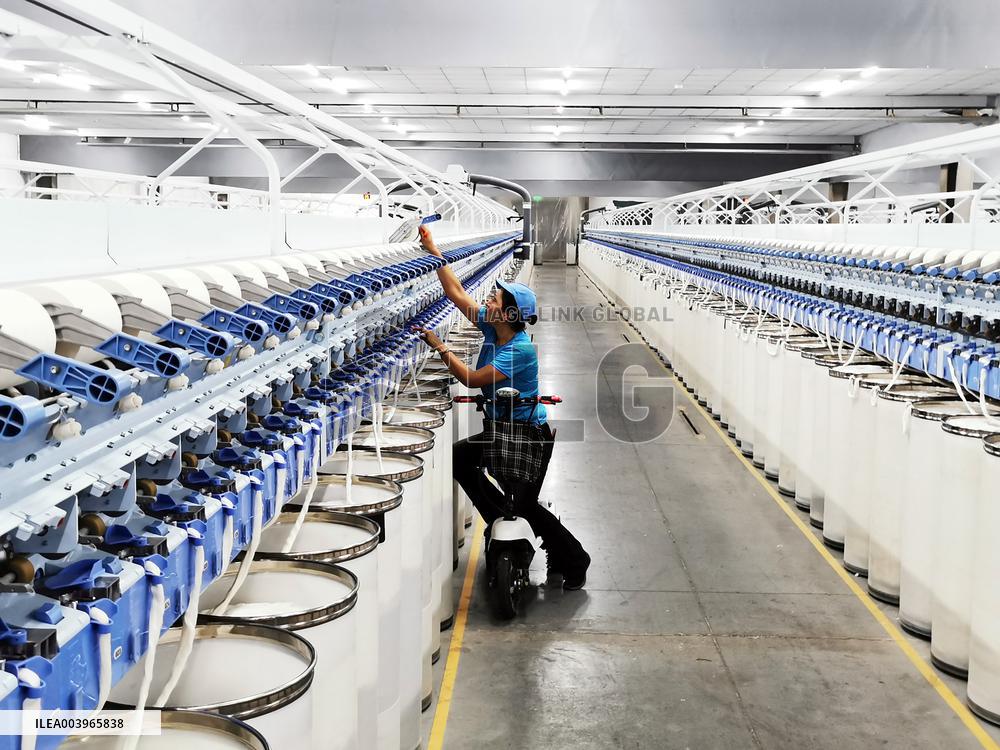Xinjiang Textile Industry