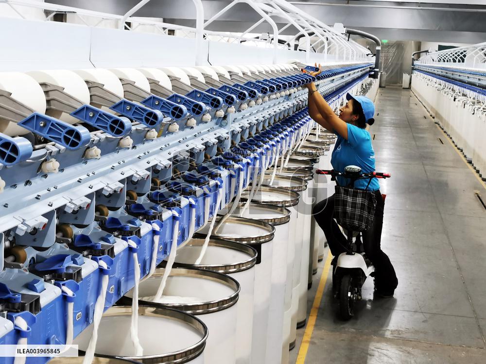 Xinjiang Textile Industry