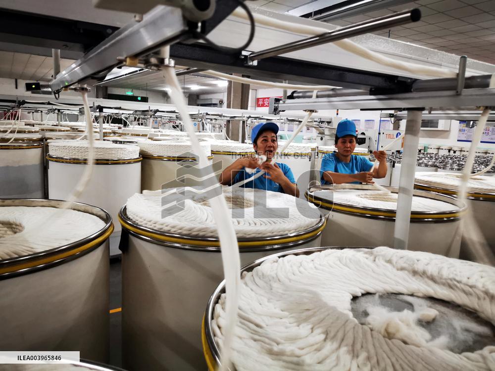 Xinjiang Textile Industry