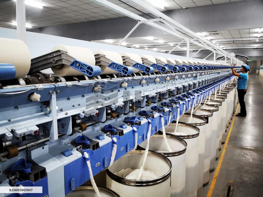 Xinjiang Textile Industry