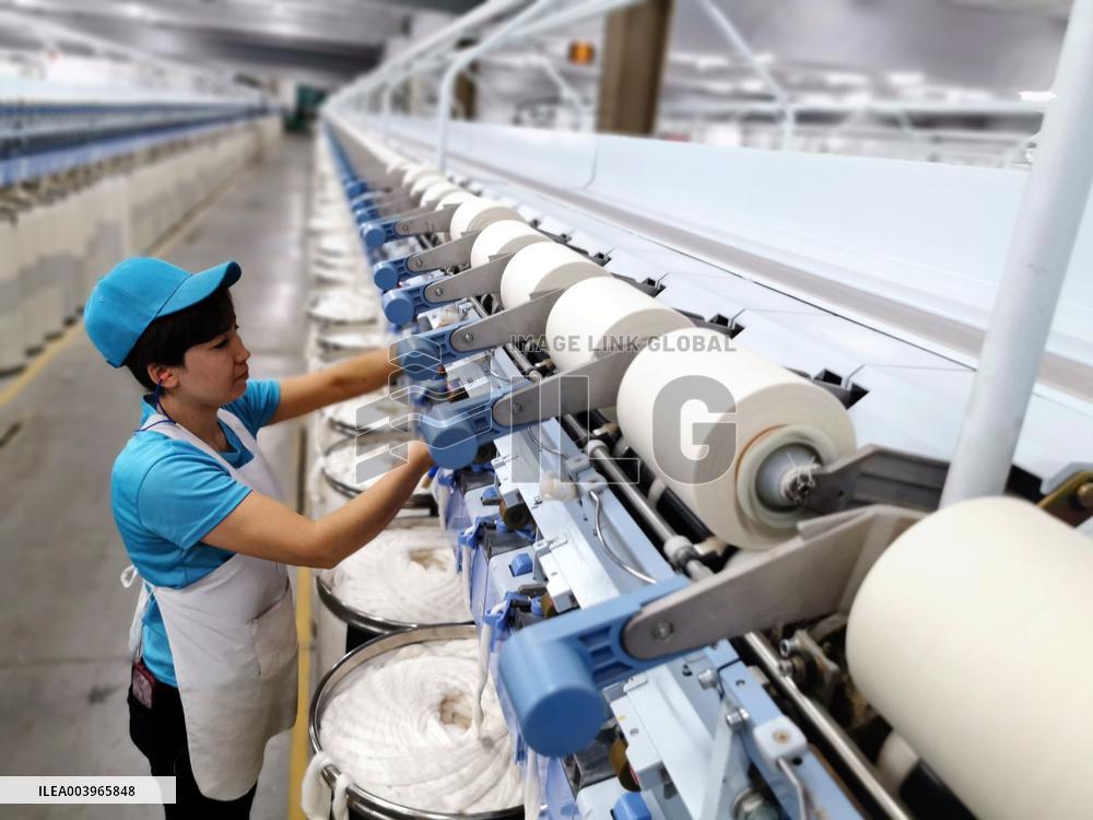 Xinjiang Textile Industry
