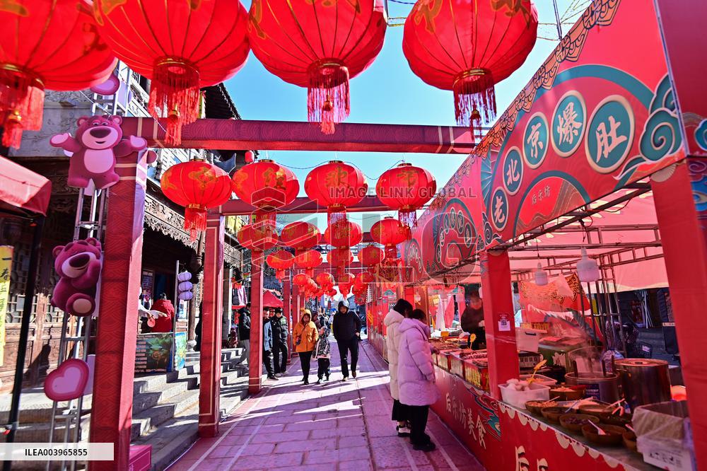 2025 Spring Festival Holiday Tourism Data