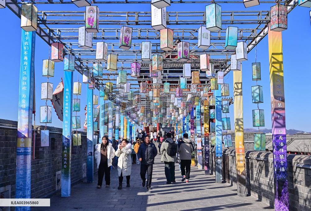 2025 Spring Festival Holiday Tourism Data