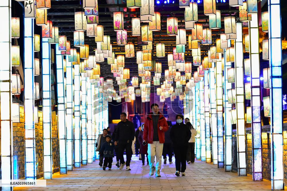 2025 Spring Festival Holiday Tourism Data