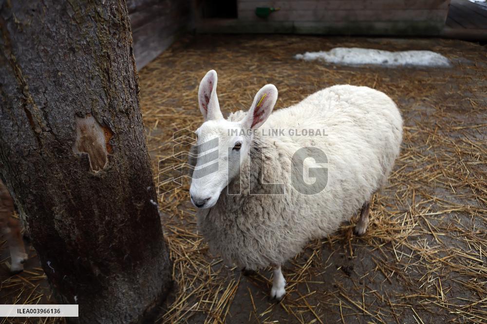Hutsul Land Ethnopark in Bukovel ski resort