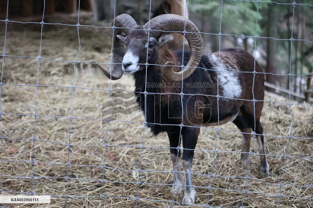 Hutsul Land Ethnopark in Bukovel ski resort