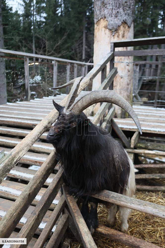 Hutsul Land Ethnopark in Bukovel ski resort