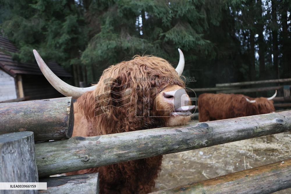 Hutsul Land Ethnopark in Bukovel ski resort