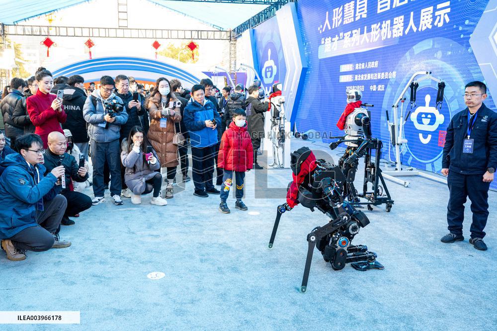 Humanoid Robots - China