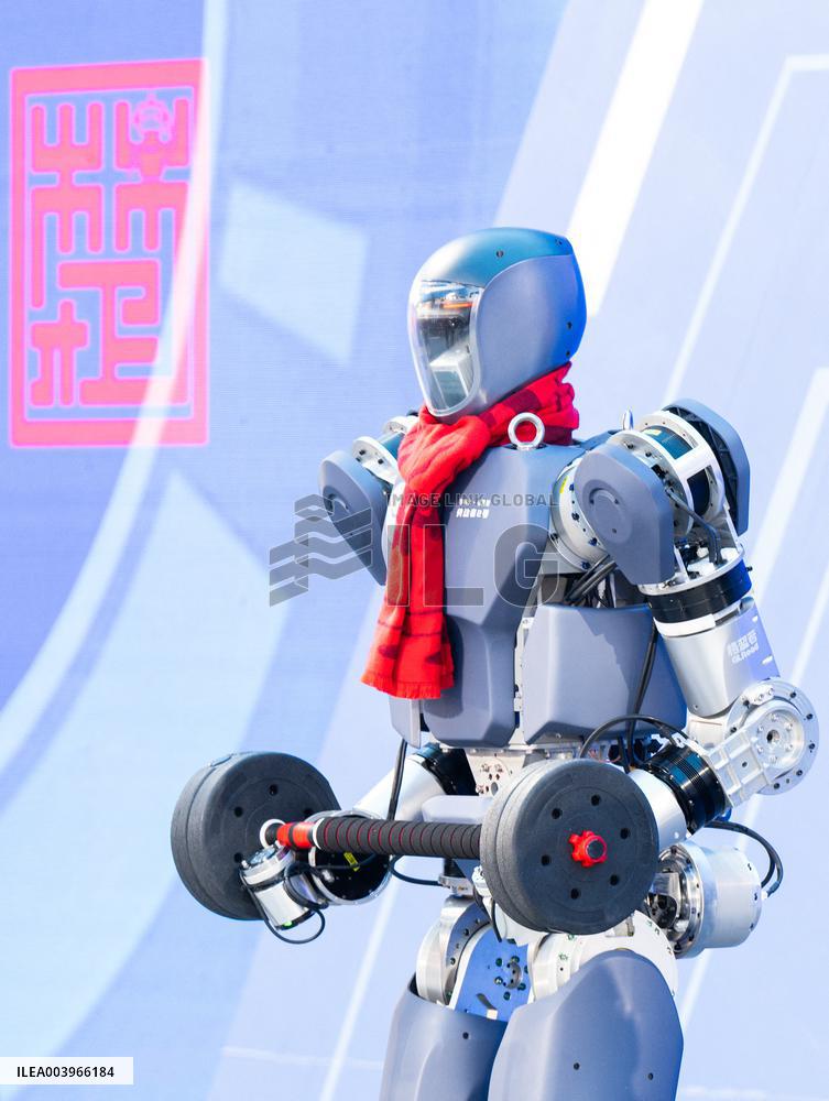 Humanoid Robots - China