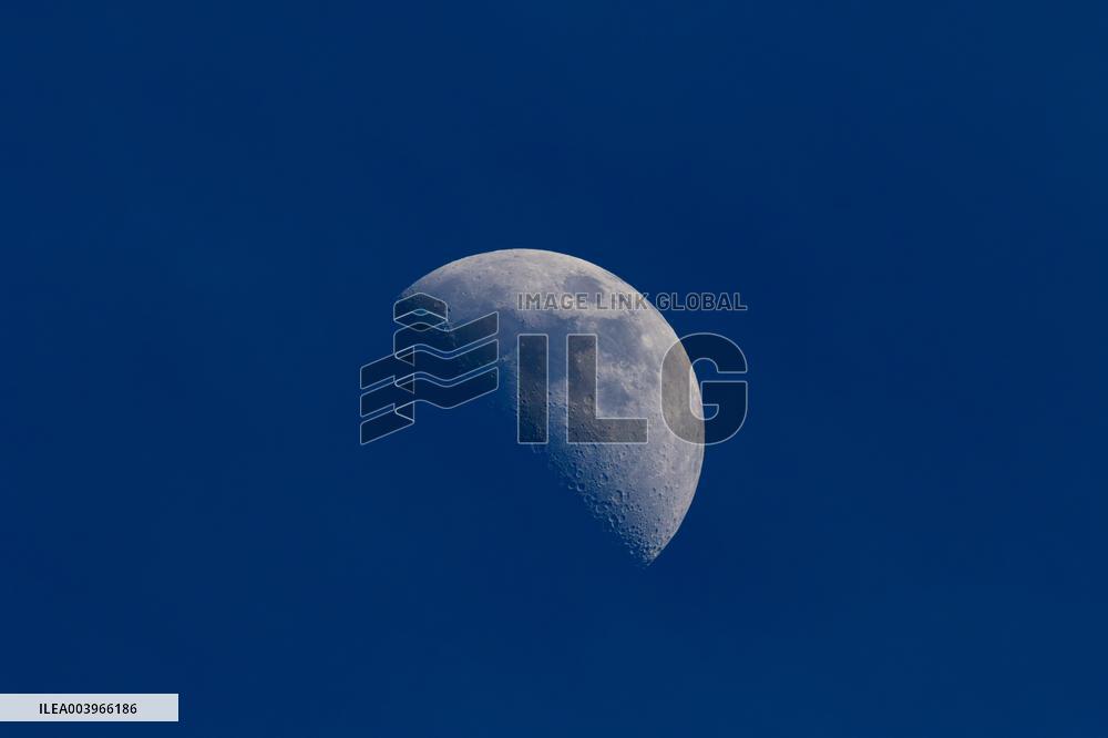 Lunar Surface X
