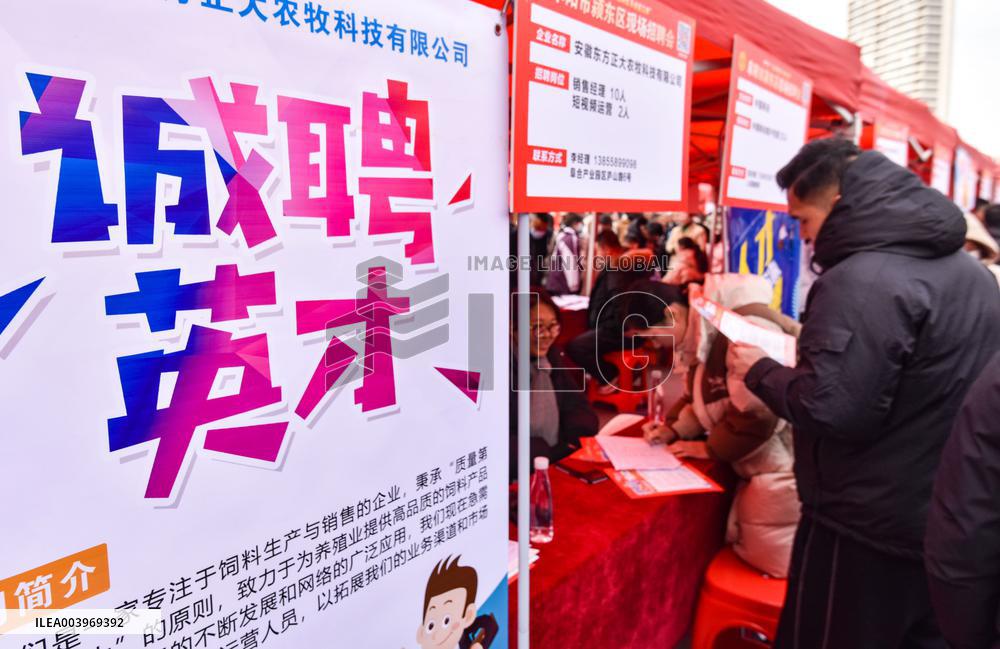 Job Fair in Fuyang