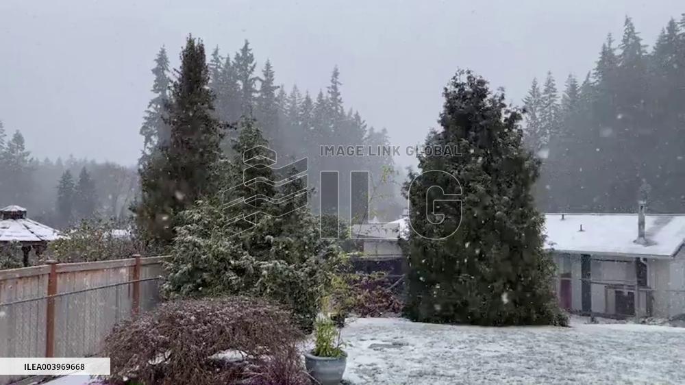 US: Snow Showers Hit Western Washington