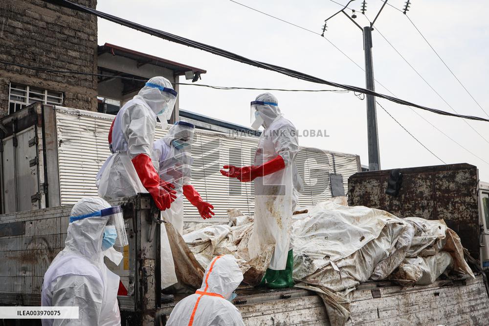 More Than 2 000 Bodies To Be Buried After Hostilities - DRC