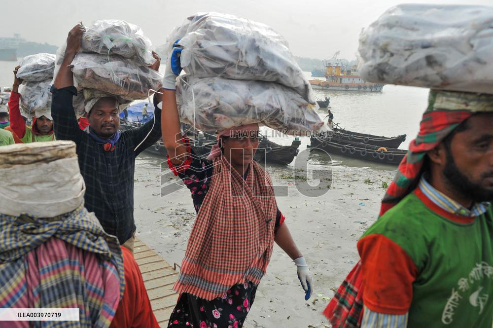 Laborers Unload Fish at Karnaphuli Fish Port - Bangladesh